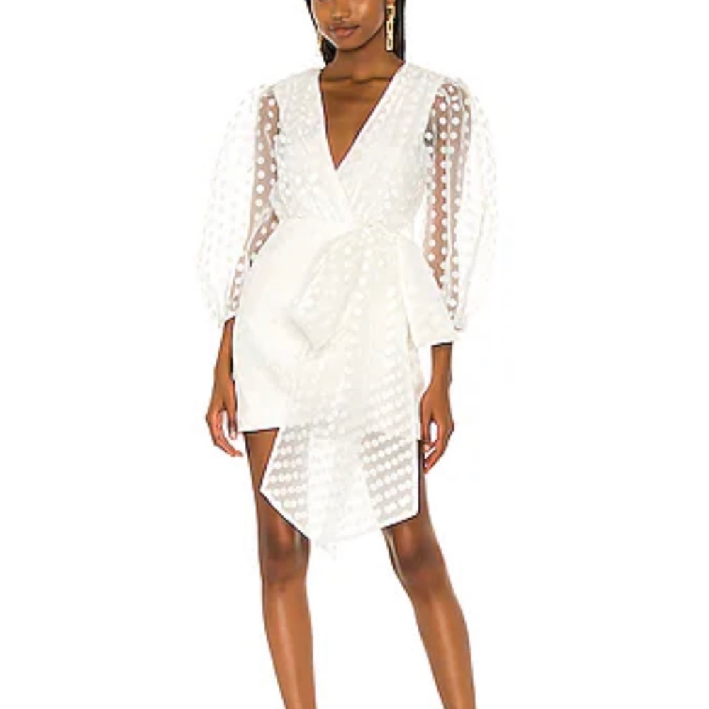 Revolve Alize mini dress